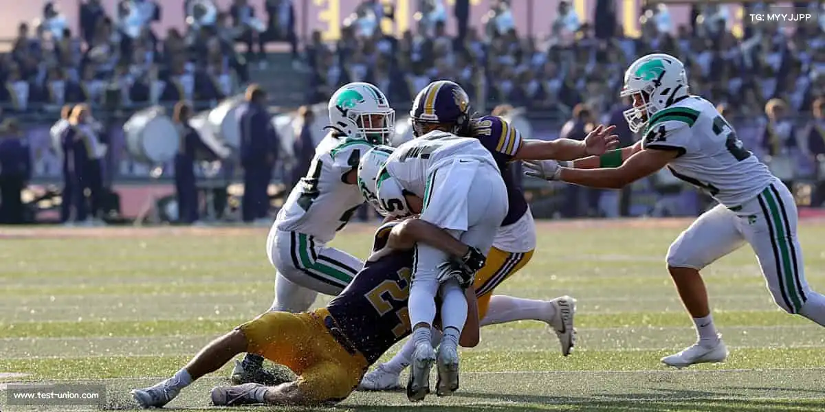 行业领先的理由